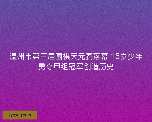 温州市第三届围棋天元赛落幕 15岁少年勇夺甲组冠军创造历史