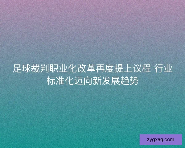 足球裁判职业化改革再度提上议程 行业标准化迈向新发展趋势